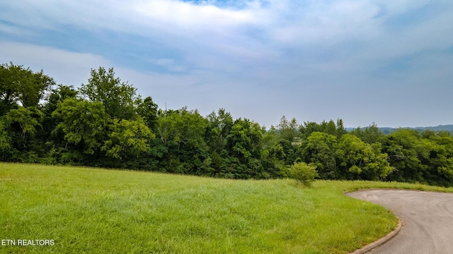 96119615 Sybil Lee Ln, Kodak, TN 37764 - photo 3