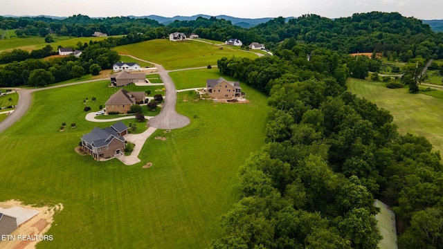 96119615 Sybil Lee Ln, Kodak, TN 37764 - photo 9