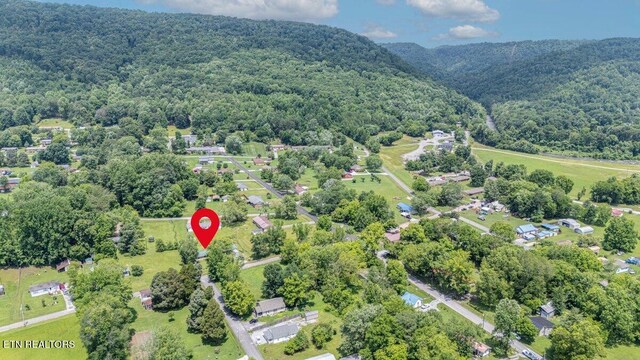 225 Spring St, Spring City, TN 37381 - drone / aerial view of a forest