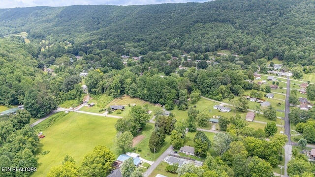 225 Spring St, Spring City, TN 37381 - bird's eye view of a heavily wooded area