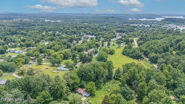225 Spring St, Spring City, TN 37381 - bird's eye view of a forest