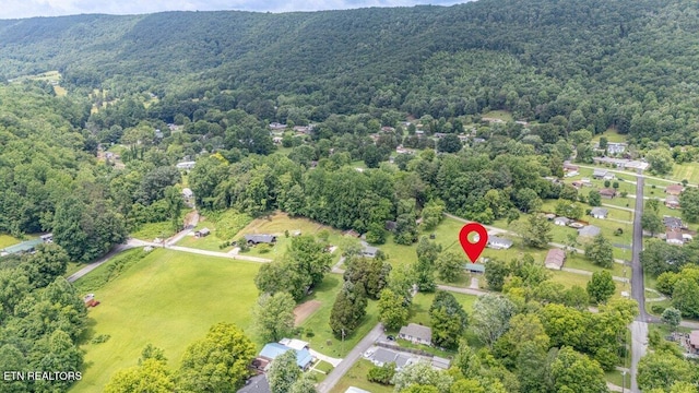 225 Spring St, Spring City, TN 37381 - aerial view of property and surrounding area featuring a forest