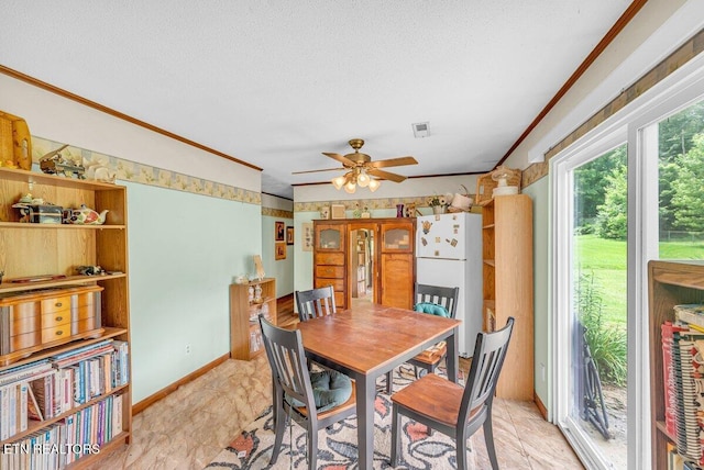 225 Spring St, Spring City, TN 37381 - dining room featuring ornamental molding, ceiling fan, and a textured ceiling