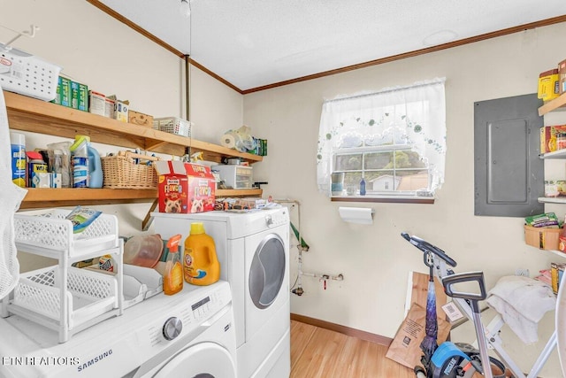 225 Spring St, Spring City, TN 37381 - washroom featuring crown molding, electric panel, washer and clothes dryer, and wood finished floors