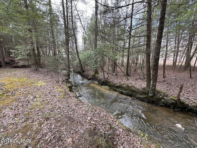 1096 Circle Dr, Jamestown, TN 38556 - view of local wilderness