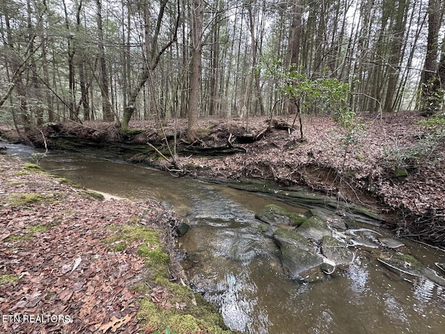 1096 Circle Dr, Jamestown, TN 38556 - view of undeveloped land