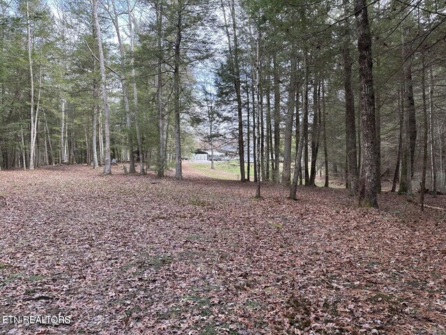1096 Circle Dr, Jamestown, TN 38556 - view of nature