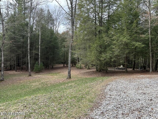 1096 Circle Dr, Jamestown, TN 38556 - view of yard with a view of trees