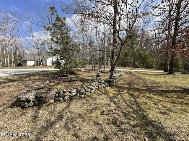 1096 Circle Dr, Jamestown, TN 38556 - view of yard