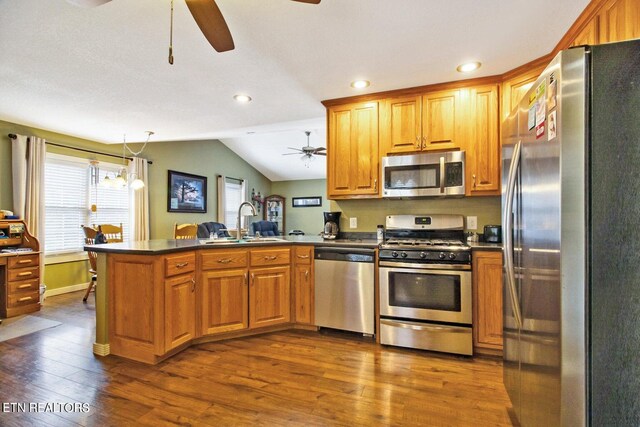 1096 Circle Dr, Jamestown, TN 38556 - kitchen featuring appliances with stainless steel finishes, a ceiling fan, a peninsula, vaulted ceiling, and dark wood-style floors