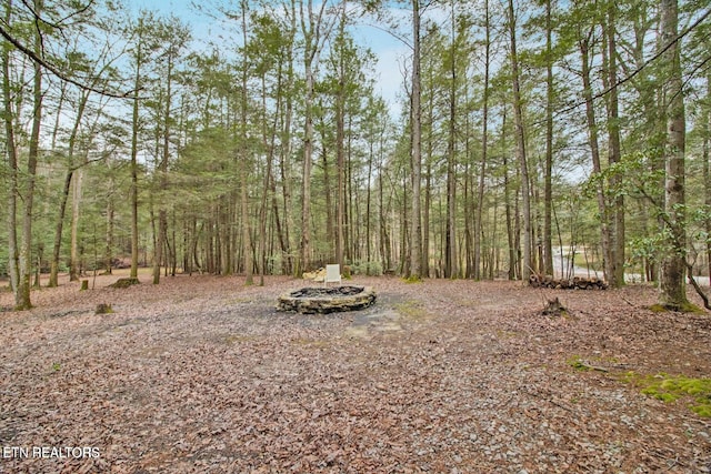 1096 Circle Dr, Jamestown, TN 38556 - view of yard featuring a fire pit and a wooded view