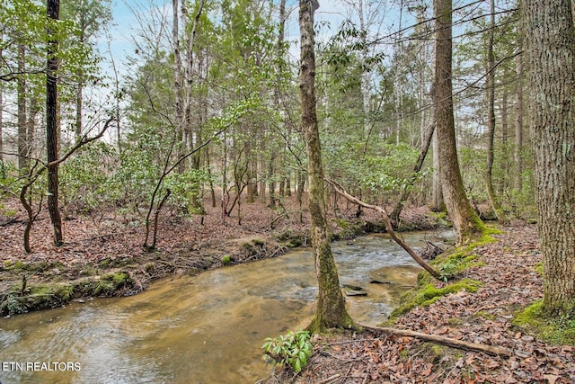 1096 Circle Dr, Jamestown, TN 38556 - view of undeveloped land