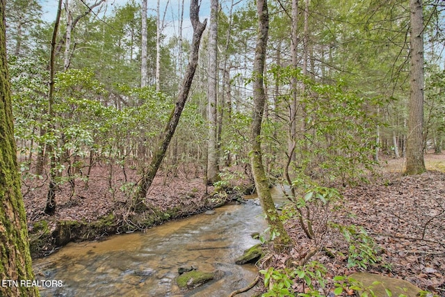 1096 Circle Dr, Jamestown, TN 38556 - water view