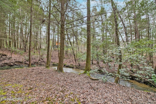 1096 Circle Dr, Jamestown, TN 38556 - view of nature