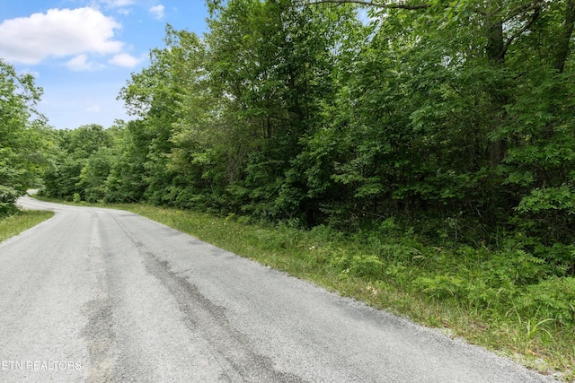 2313/2315 White Horse Dr, Crossville, TN 38572 - photo 11