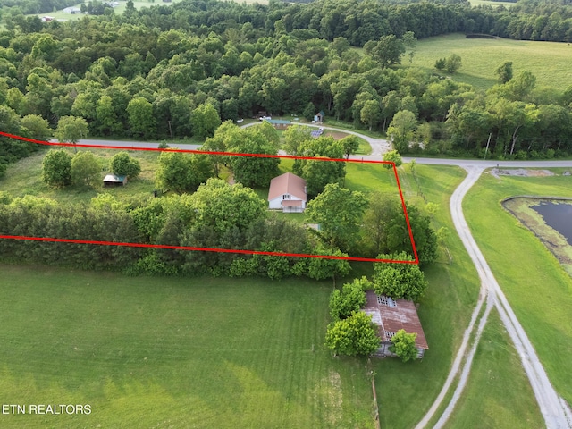 2530 Roslin Rd, Deer Lodge, TN 37726 - aerial view of property and surrounding area with property parcel outlined