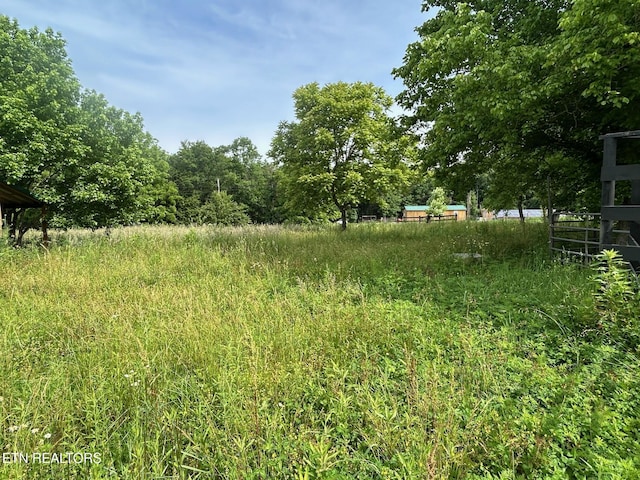 2530 Roslin Rd, Deer Lodge, TN 37726 - view of yard