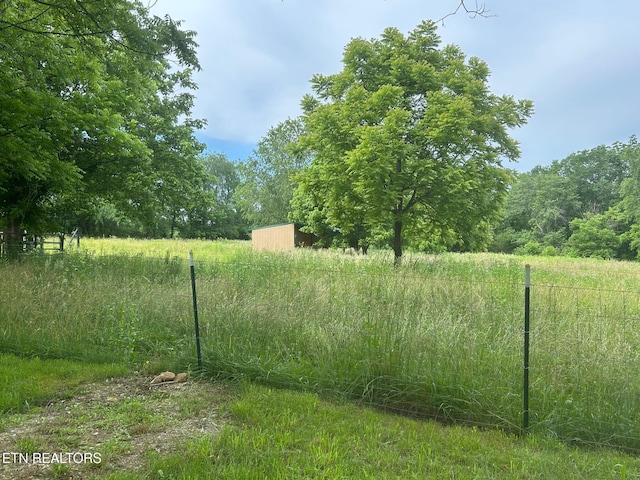 2530 Roslin Rd, Deer Lodge, TN 37726 - view of yard