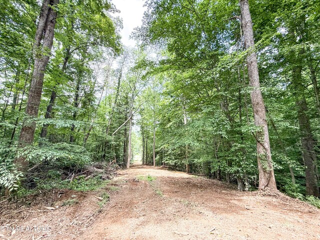 Forest Creek Pkwy, Oak Ridge, TN 37830 - photo 6