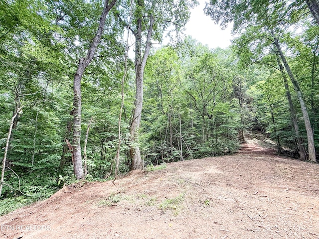 Forest Creek Pkwy, Oak Ridge, TN 37830 - photo 4
