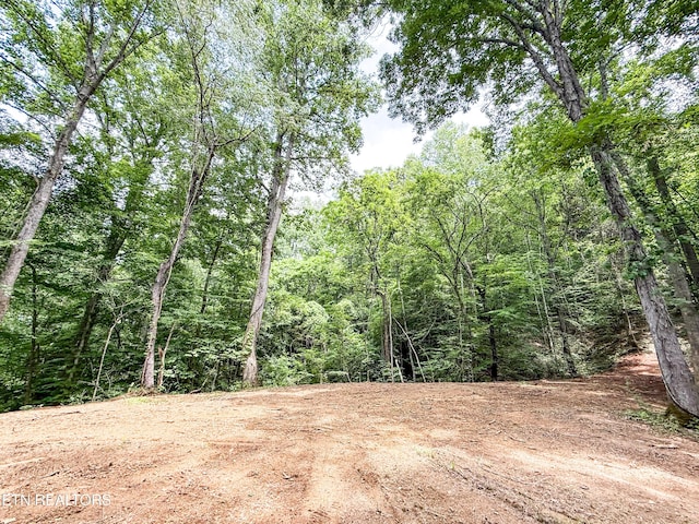Forest Creek Pkwy, Oak Ridge, TN 37830 - photo 7