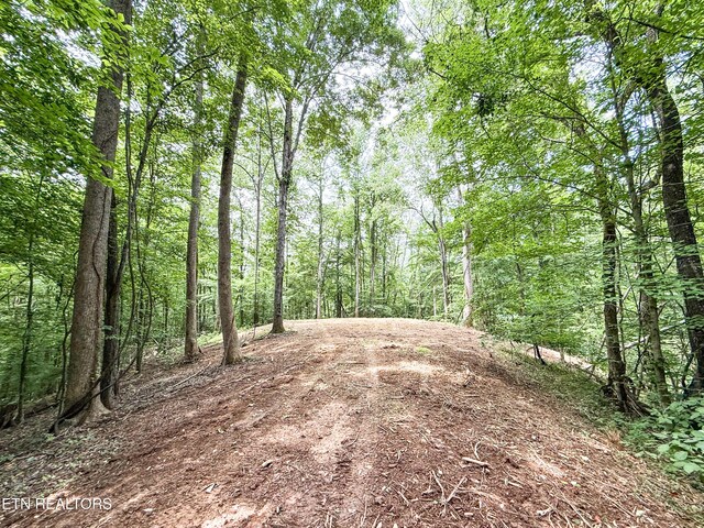 Forest Creek Pkwy, Oak Ridge, TN 37830 - photo 9