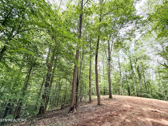 Forest Creek Pkwy, Oak Ridge, TN 37830 - photo 10