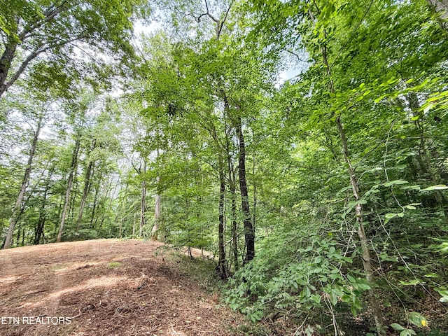 Forest Creek Pkwy, Oak Ridge, TN 37830 - photo 11