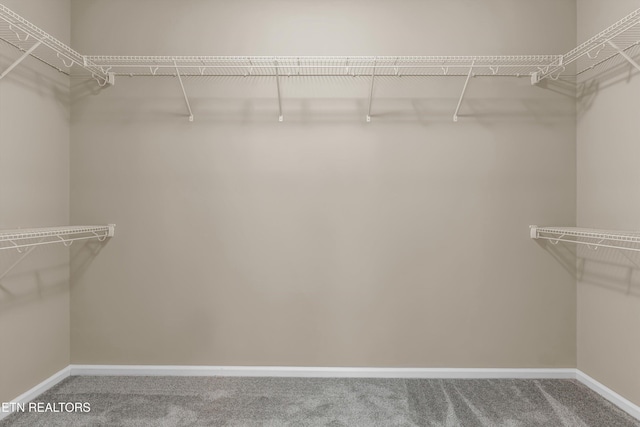 2017 Gusty Wind Ln, Knoxville, TN 37932 - spacious closet with carpet flooring