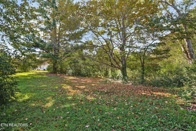 1700 E 1st St, Crossville, TN 38555 - view of grassy yard
