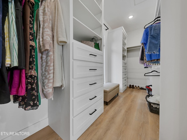 1848 Mountain Ash Way, Sevierville, TN 37876 - walk in closet featuring light wood-type flooring