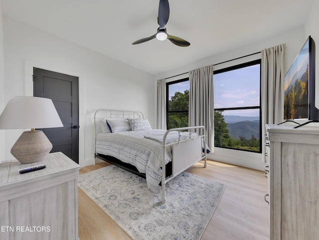 1848 Mountain Ash Way, Sevierville, TN 37876 - bedroom with light wood finished floors and a ceiling fan