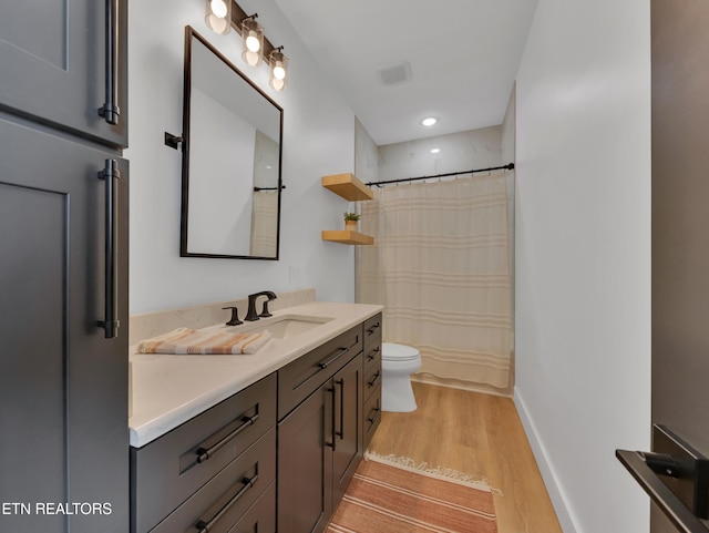 1848 Mountain Ash Way, Sevierville, TN 37876 - bathroom featuring vanity, wood finished floors, and a shower with shower curtain