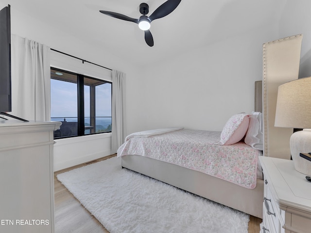 1848 Mountain Ash Way, Sevierville, TN 37876 - bedroom with light wood-style floors and a ceiling fan