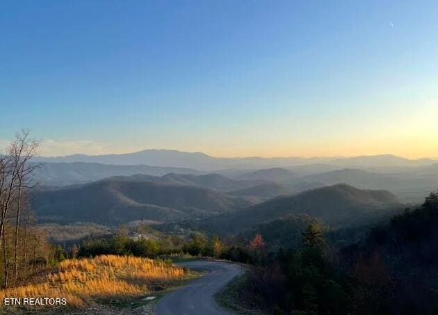 1848 Mountain Ash Way, Sevierville, TN 37876 - view of mountain backdrop