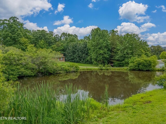150 Ray Cross Rd, Harriman, TN 37748 - water view with a heavily wooded area