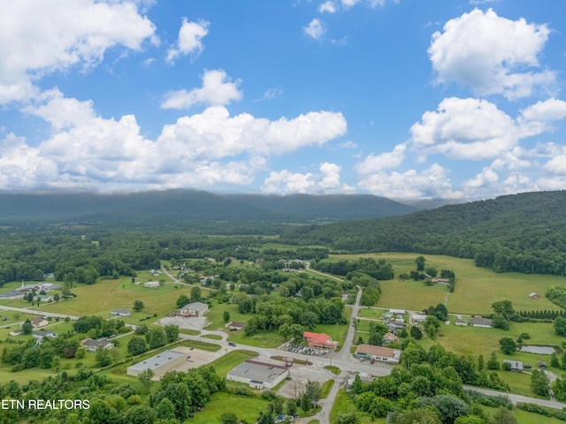 150 Ray Cross Rd, Harriman, TN 37748 - aerial view of a forest and a mountain backdrop