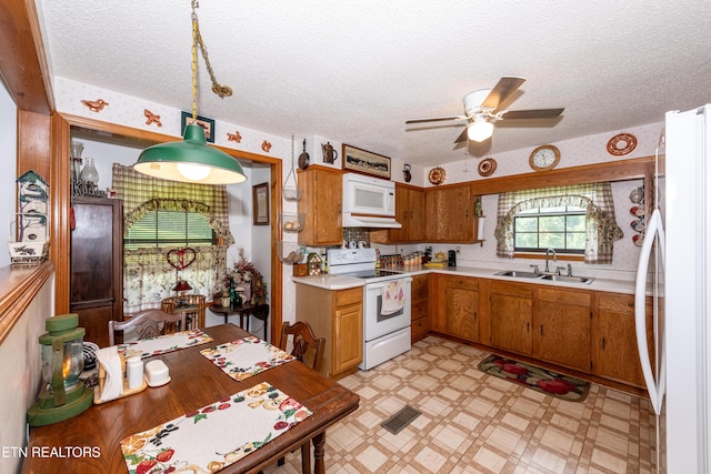 882 Walker Rd, Sharps Chapel, TN 37866 - photo 25