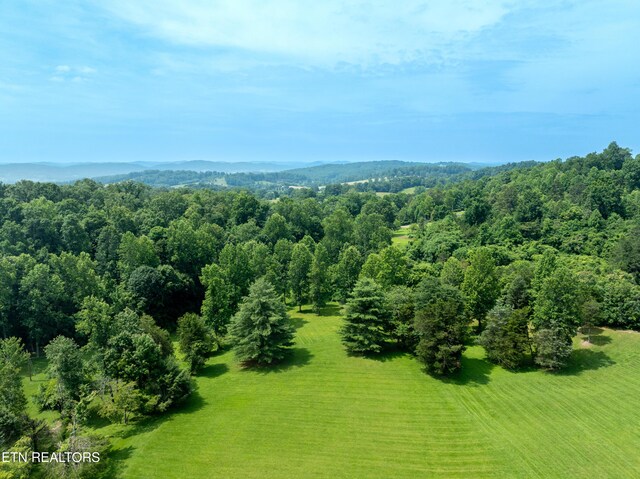 882 Walker Rd, Sharps Chapel, TN 37866 - photo 60