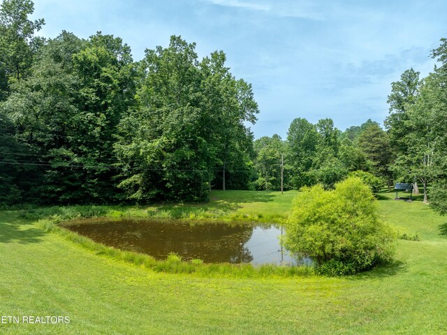 882 Walker Rd, Sharps Chapel, TN 37866 - photo 7
