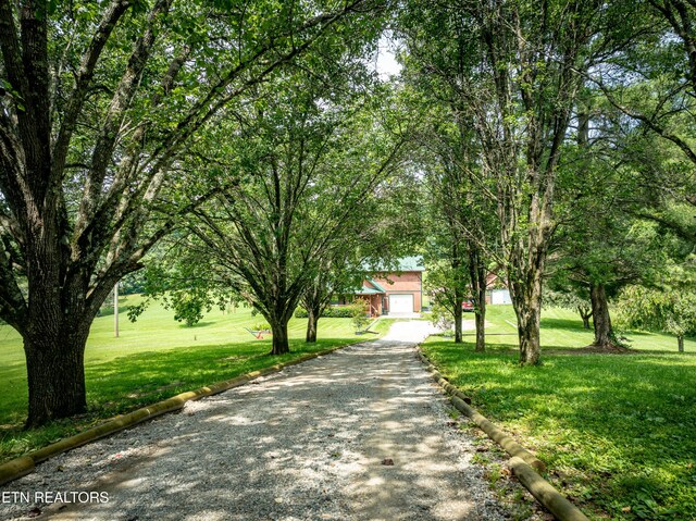 882 Walker Rd, Sharps Chapel, TN 37866 - photo 15