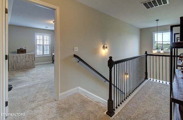 103 Eva Way, Maryville, TN 37801 - photo 26
