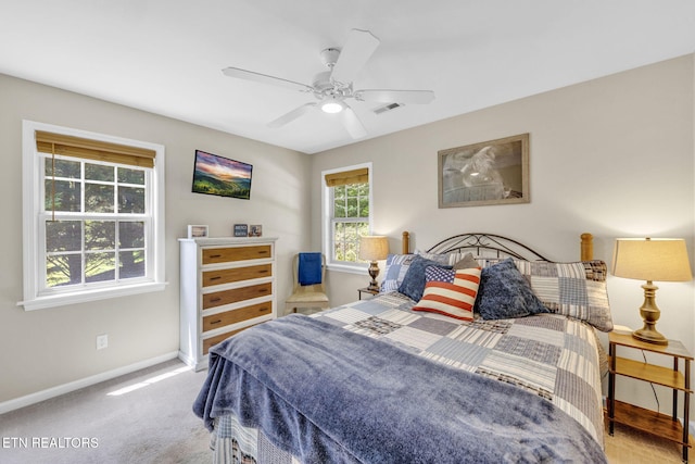 3183 Wears Dr, Sevierville, TN 37862 - bedroom with carpet floors and ceiling fan