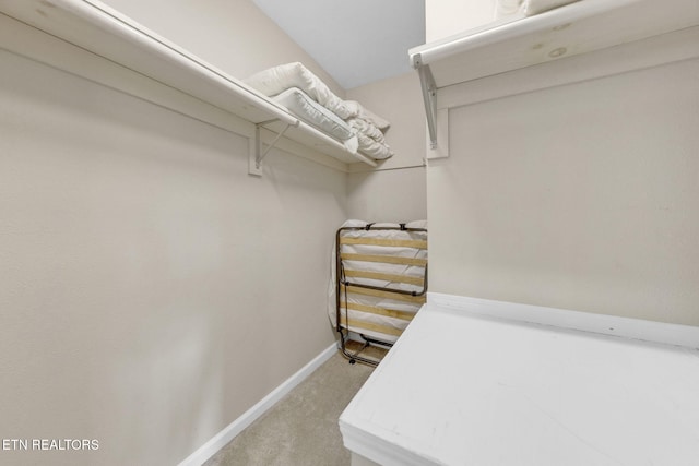 3183 Wears Dr, Sevierville, TN 37862 - walk in closet with light carpet