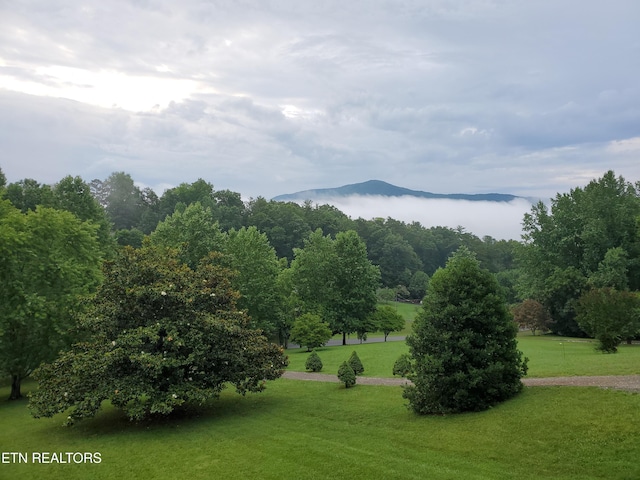 3183 Wears Dr, Sevierville, TN 37862 - surrounding community featuring a lawn