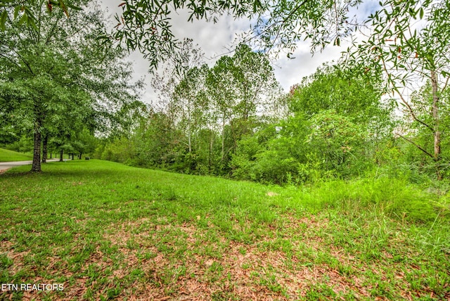 154 Pineberry E Rd Unit 165, Oak Ridge, TN 37830