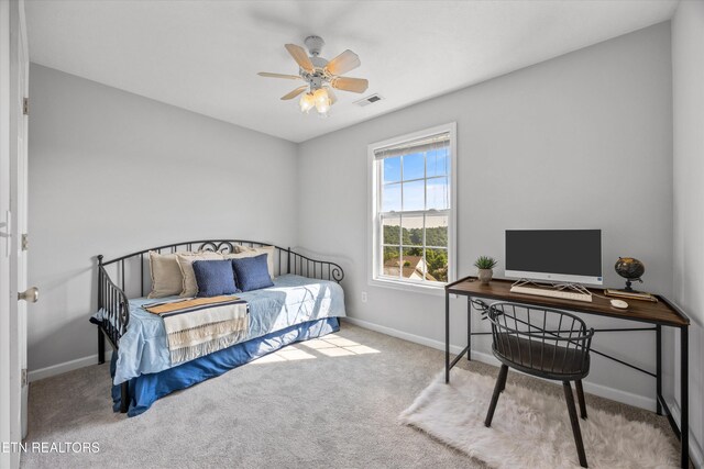 4057 Mountain Vista Rd, Knoxville, TN 37931 - photo 22