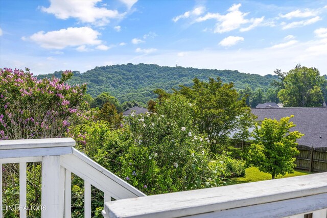 4057 Mountain Vista Rd, Knoxville, TN 37931 - photo 34