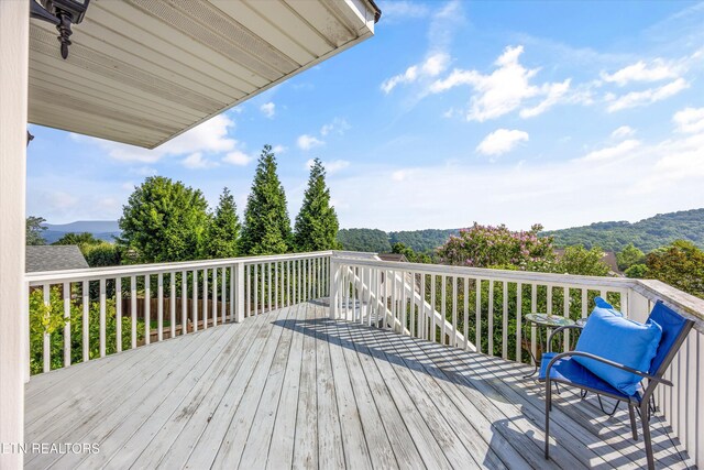 4057 Mountain Vista Rd, Knoxville, TN 37931 - photo 33