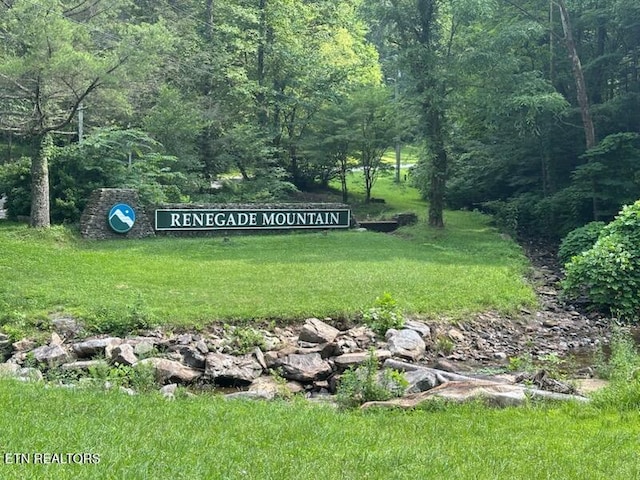 Renegade Mountain Pkwy, Crab Orchard, TN 37723 - photo 4